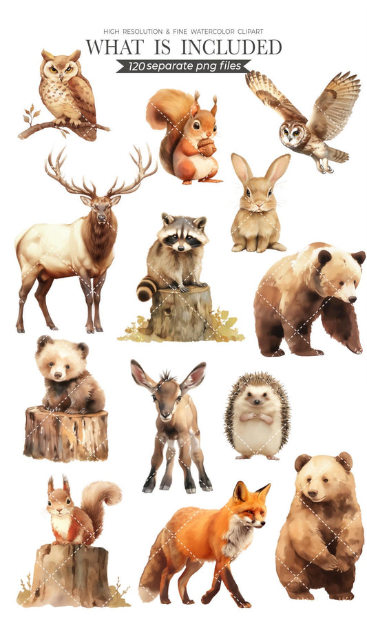 Woodland Animals, Watercolor Forest Animals PNG, Forest Baby Animals, Nursery Clipart, Woodland Babies, Forest Clipart, Deer Bear Fox Racoon