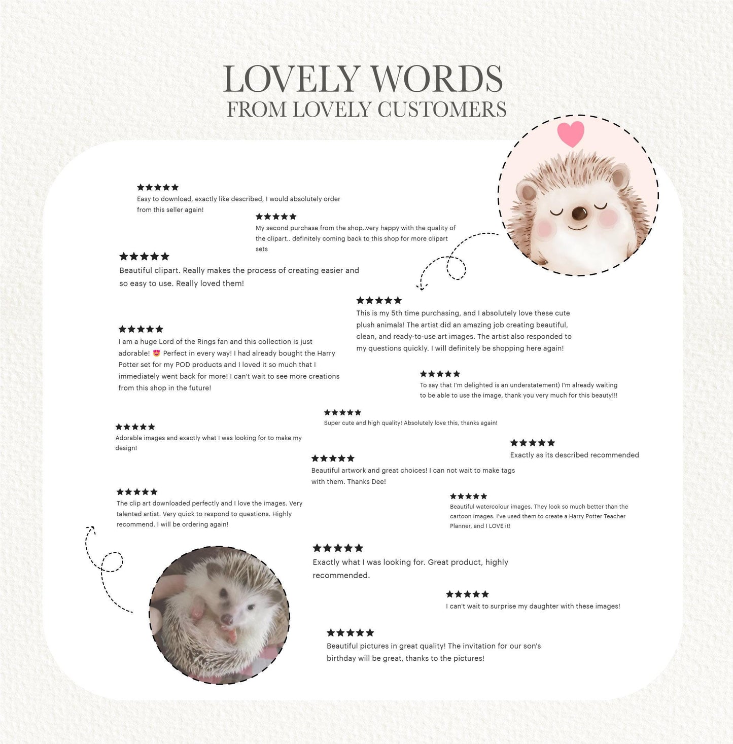 Whole Shop Bundle Clipart, Unlimited Lifetime All Access Pass, Entire Store Clip Art, Digital Download, Cute Watercolor Commercial Use PNG