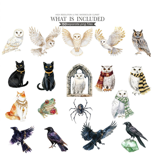 150 Wizard Gold Clipart, Cute Wizard Clipart, Cute Witch Clipart, Birthday Clipart - Kids Clipart, Nursery Clipart, Wizard School PNG