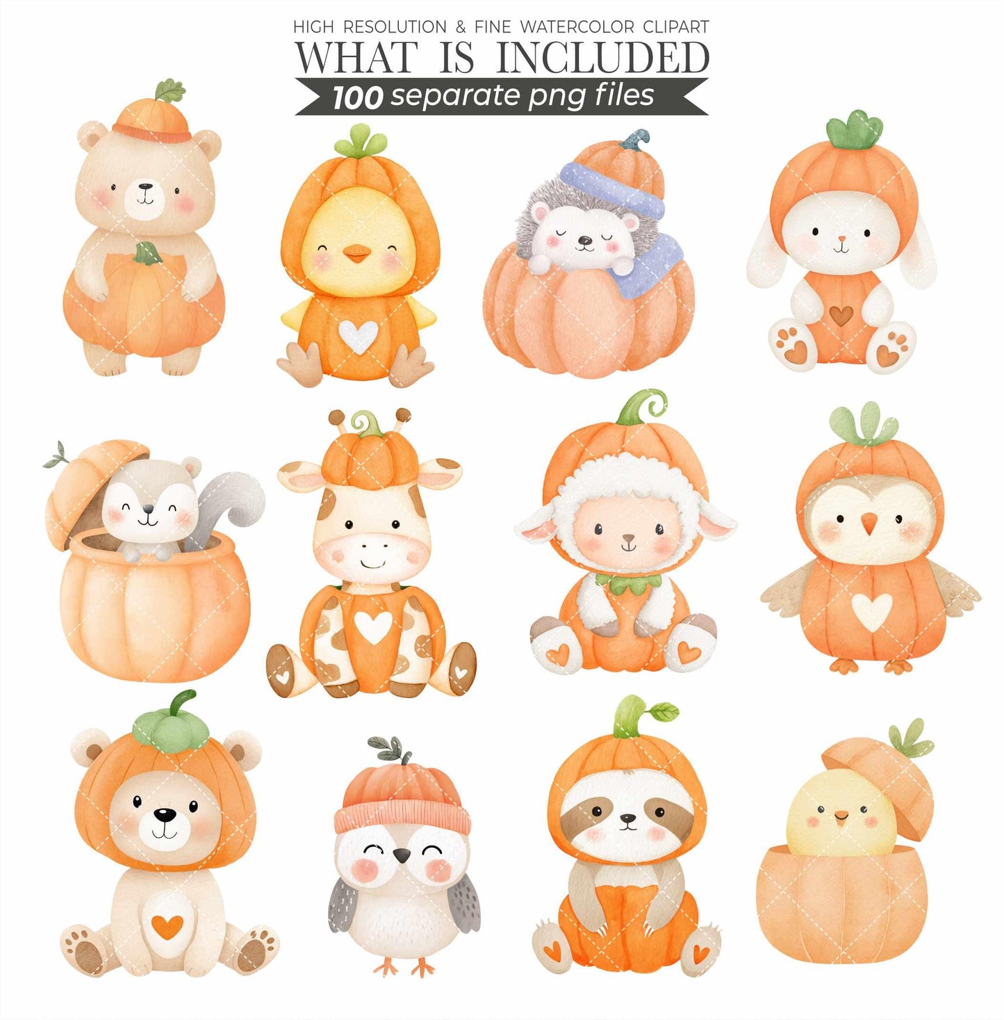 Watercolor Pumpkin Patch Animal Clipart: Fall Harvest PNG (Commercial Use, Digital Download)