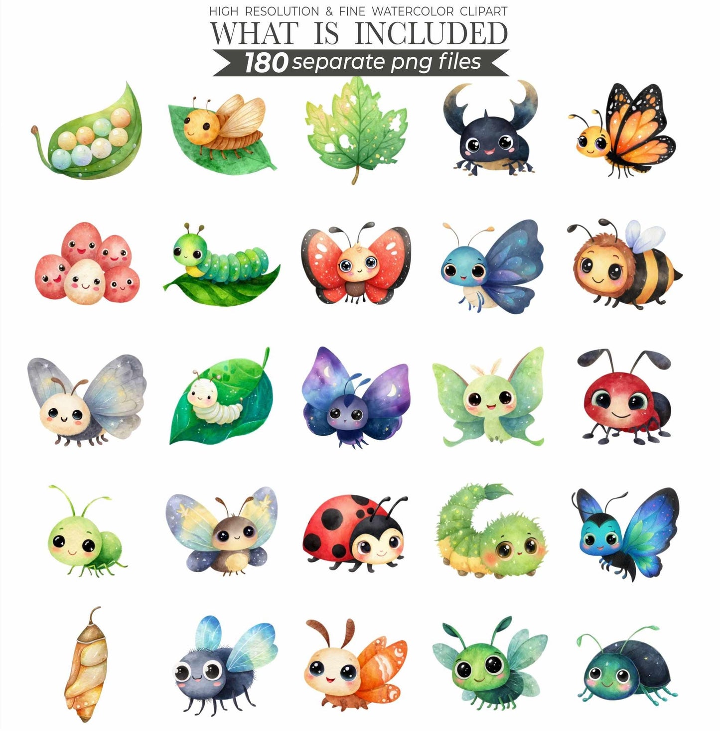 Cute Little Love Bugs Clipart, Insects Clipart, Spring Clip Art Bundle, Garden Creatures Clipart, Bee Watercolor Clipart, Bug Birthday Png