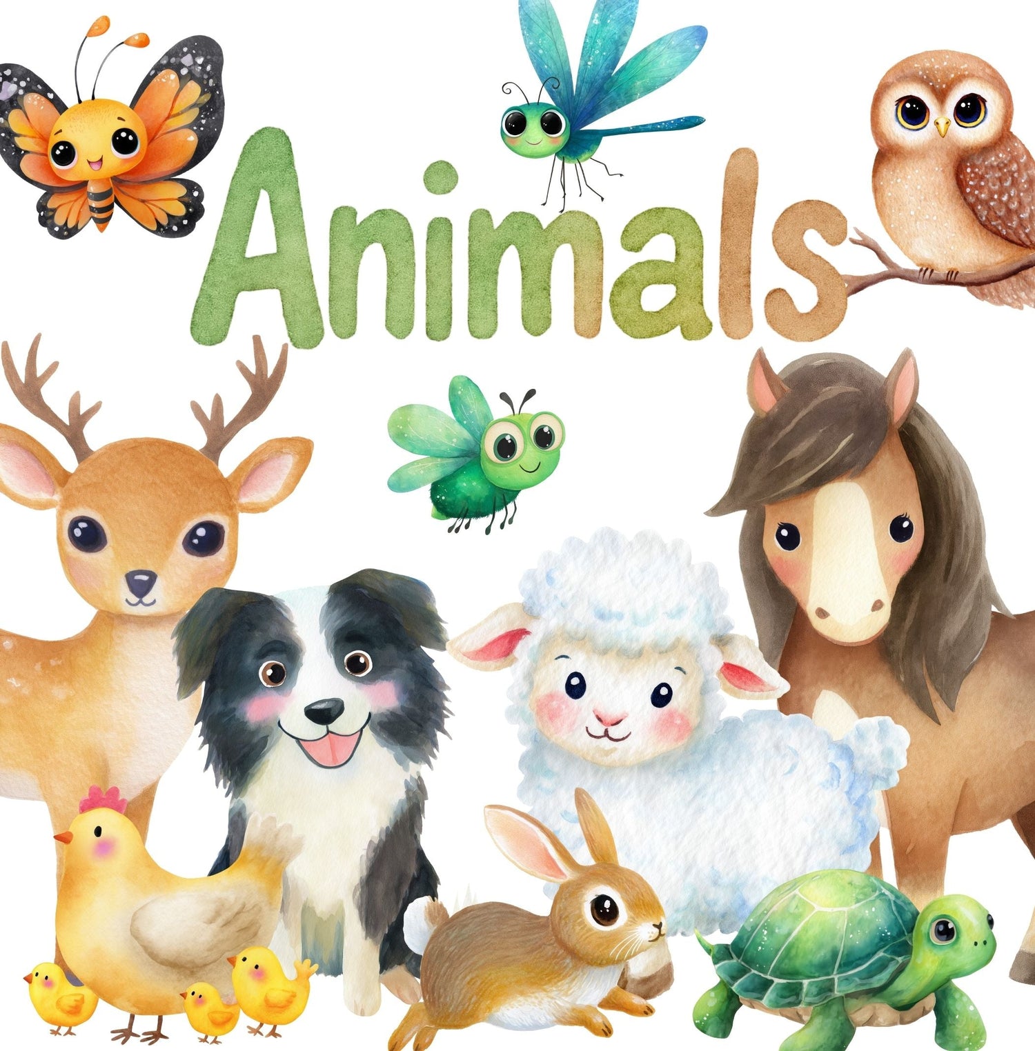 Animals