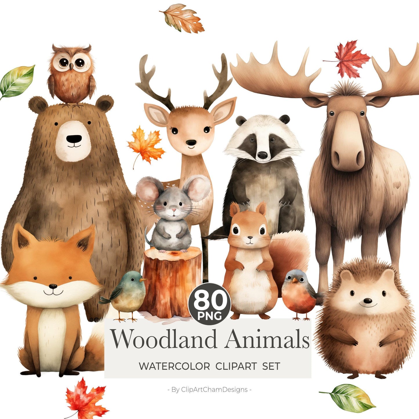 Woodland Animals Clipart Bundle, Cute Forest Animals PNG, Watercolor Woodland Animals Baby Shower, Forest Babies, Nursery Woodland Decor