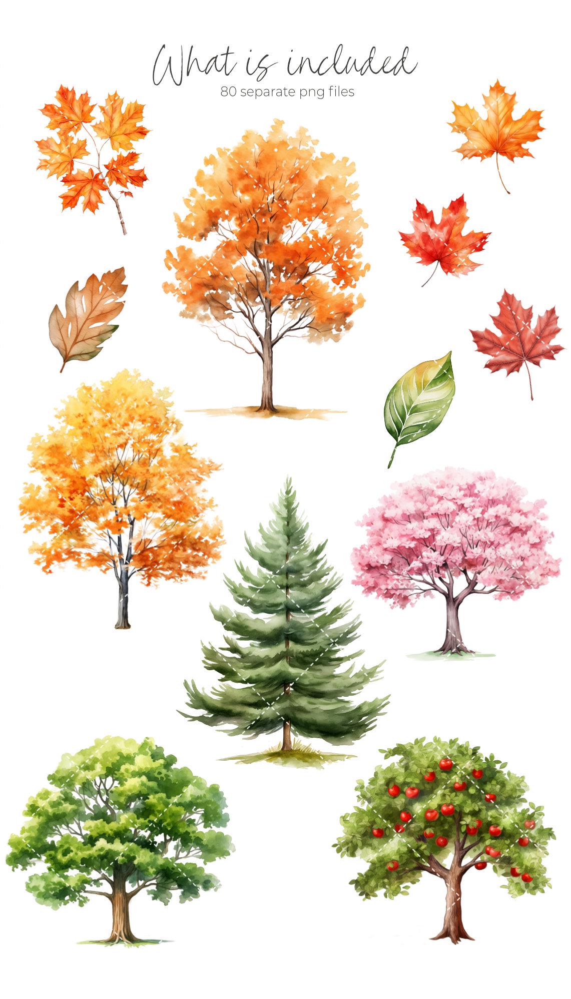 Woodland Animals Clipart Bundle, Cute Forest Animals PNG, Watercolor Woodland Animals Baby Shower, Forest Babies, Nursery Woodland Decor