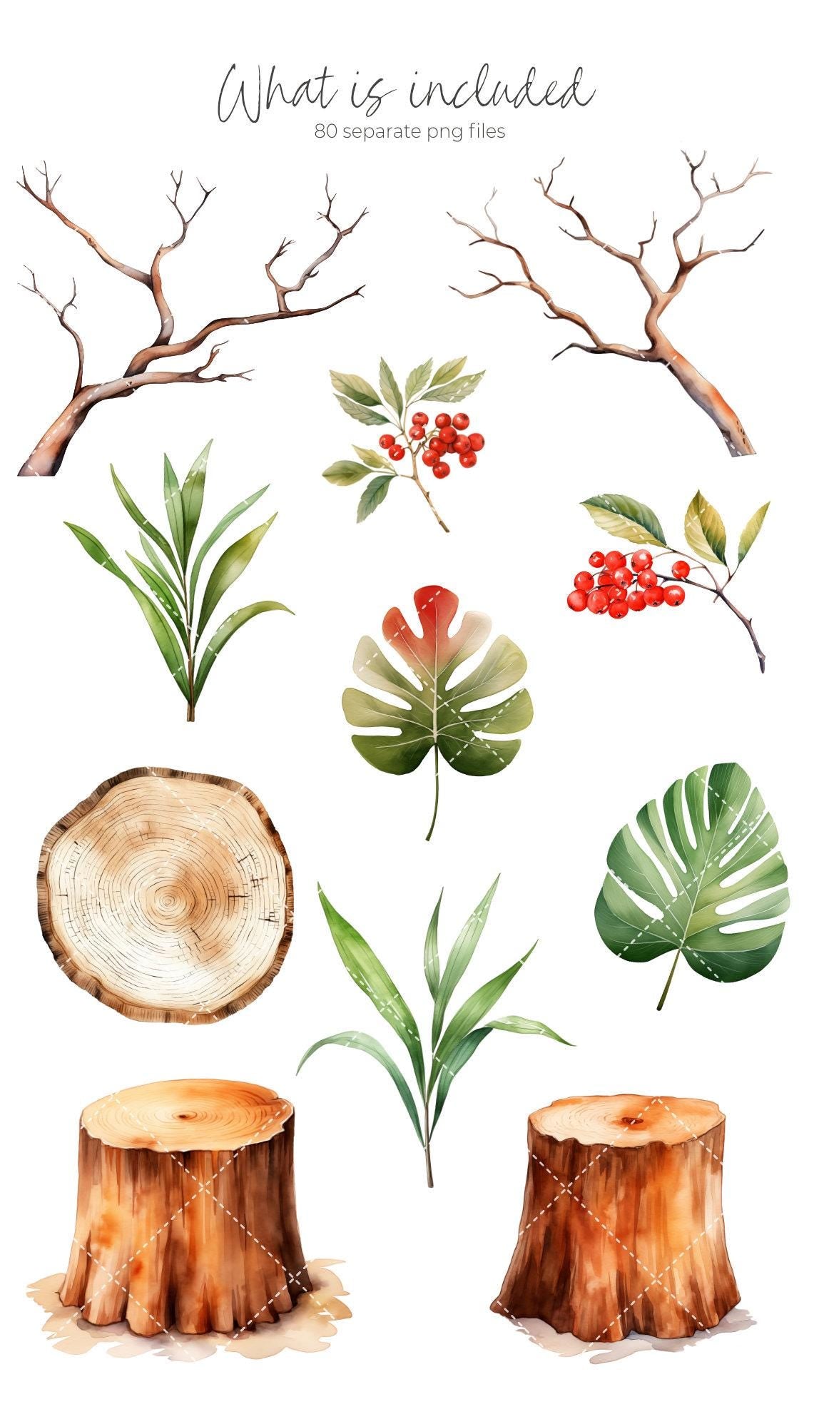 Woodland Animals Clipart Bundle, Cute Forest Animals PNG, Watercolor Woodland Animals Baby Shower, Forest Babies, Nursery Woodland Decor