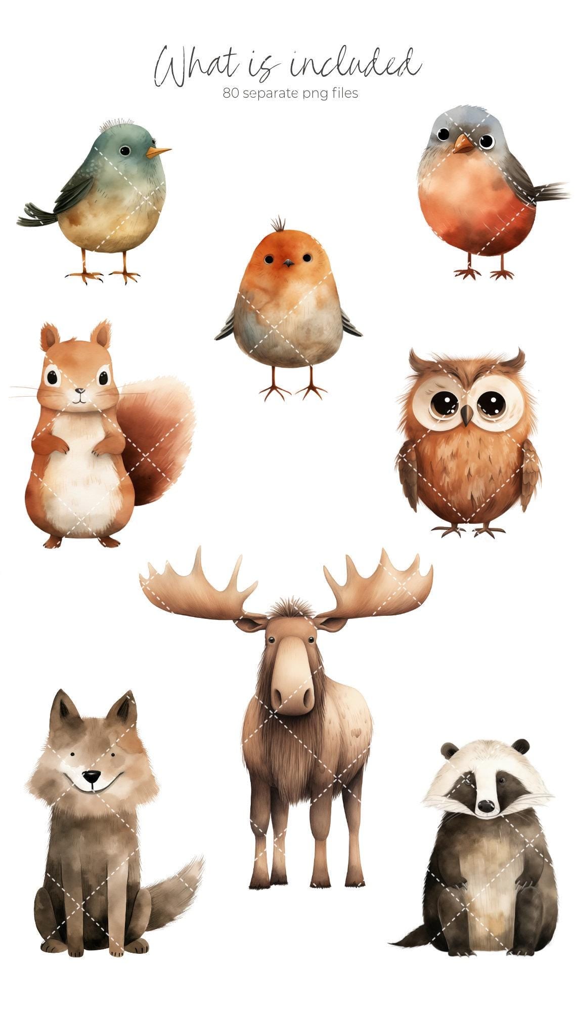 Woodland Animals Clipart Bundle, Cute Forest Animals PNG, Watercolor Woodland Animals Baby Shower, Forest Babies, Nursery Woodland Decor
