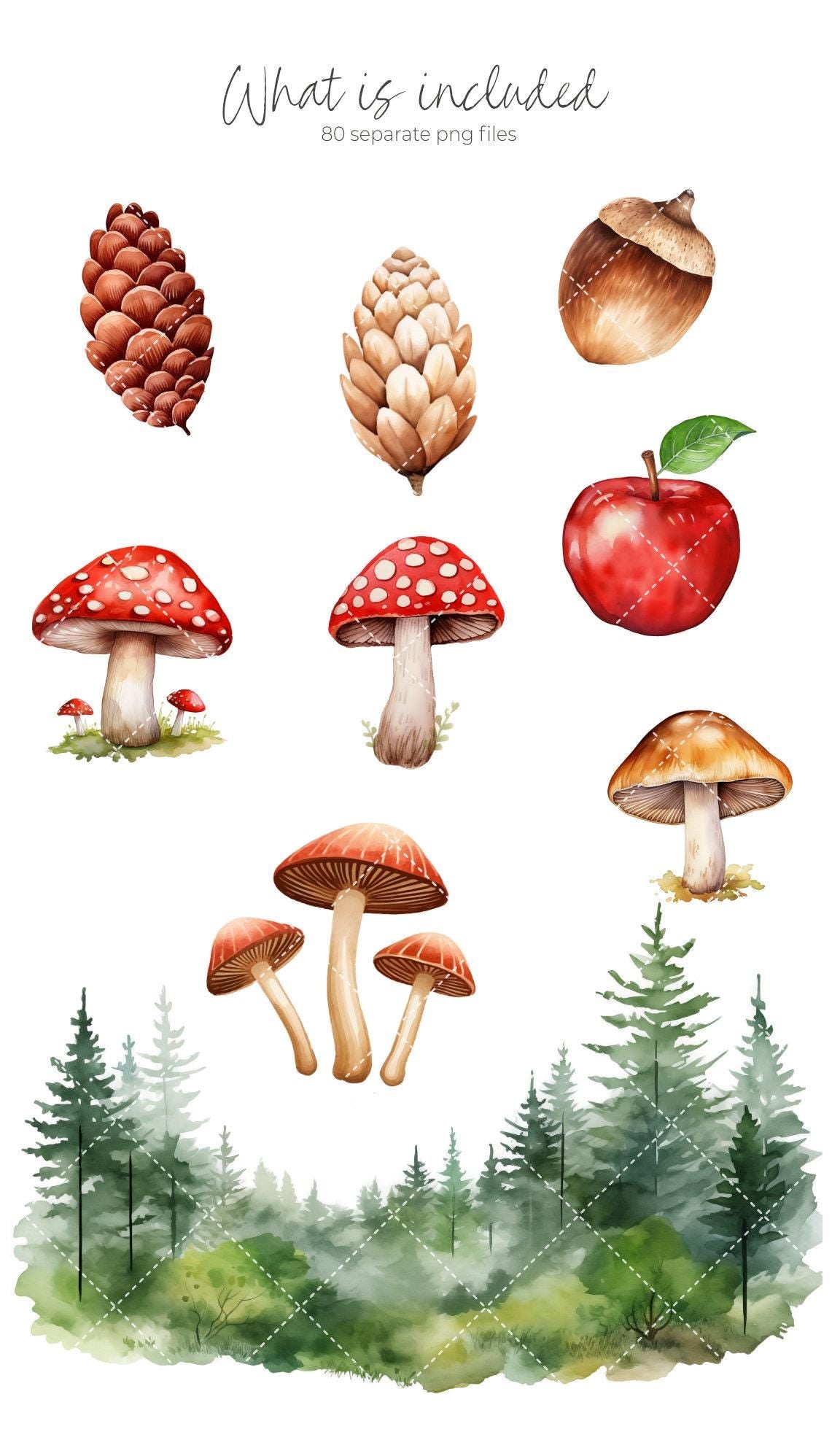 Woodland Animals Clipart Bundle, Cute Forest Animals PNG, Watercolor Woodland Animals Baby Shower, Forest Babies, Nursery Woodland Decor