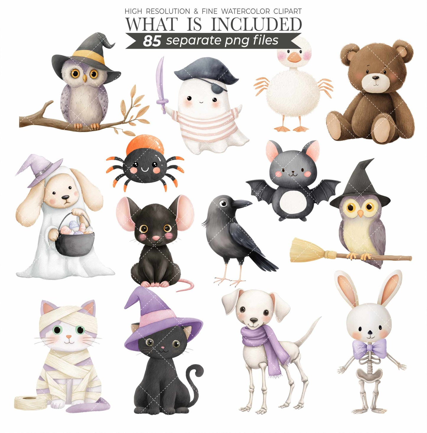 Watercolor Cute Halloween Clipart Set, Spooky PNG, Witch Clip Art, Ghosts, Black Cat, Frankenstein, Mummy, Boo Clipart, Digital Download