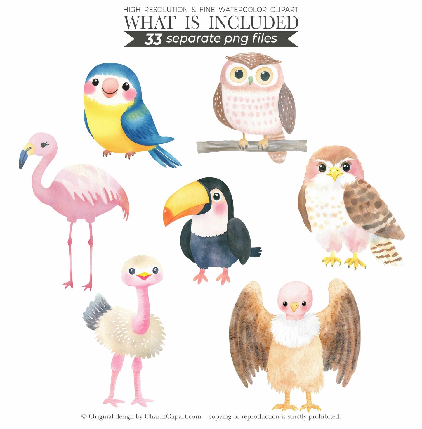Safari Animals Watercolor Clipart Bundle: 33 Jungle Nursery Art PNG Digital Download