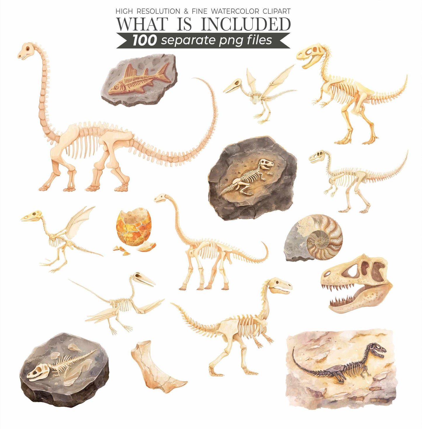 Watercolor Dinosaur Clipart Bundle: Prehistoric Art, 200 PNGs (Digital Download)