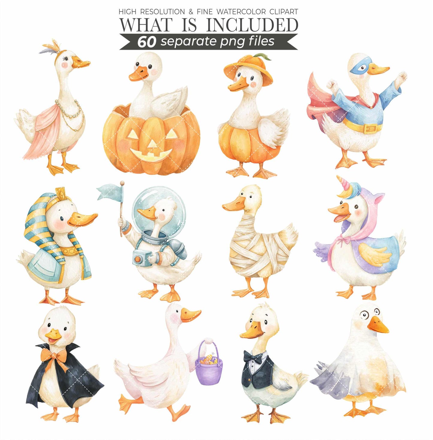 Silly Goose Halloween Clipart: Vintage Gothic Geese PNG (Digital Download