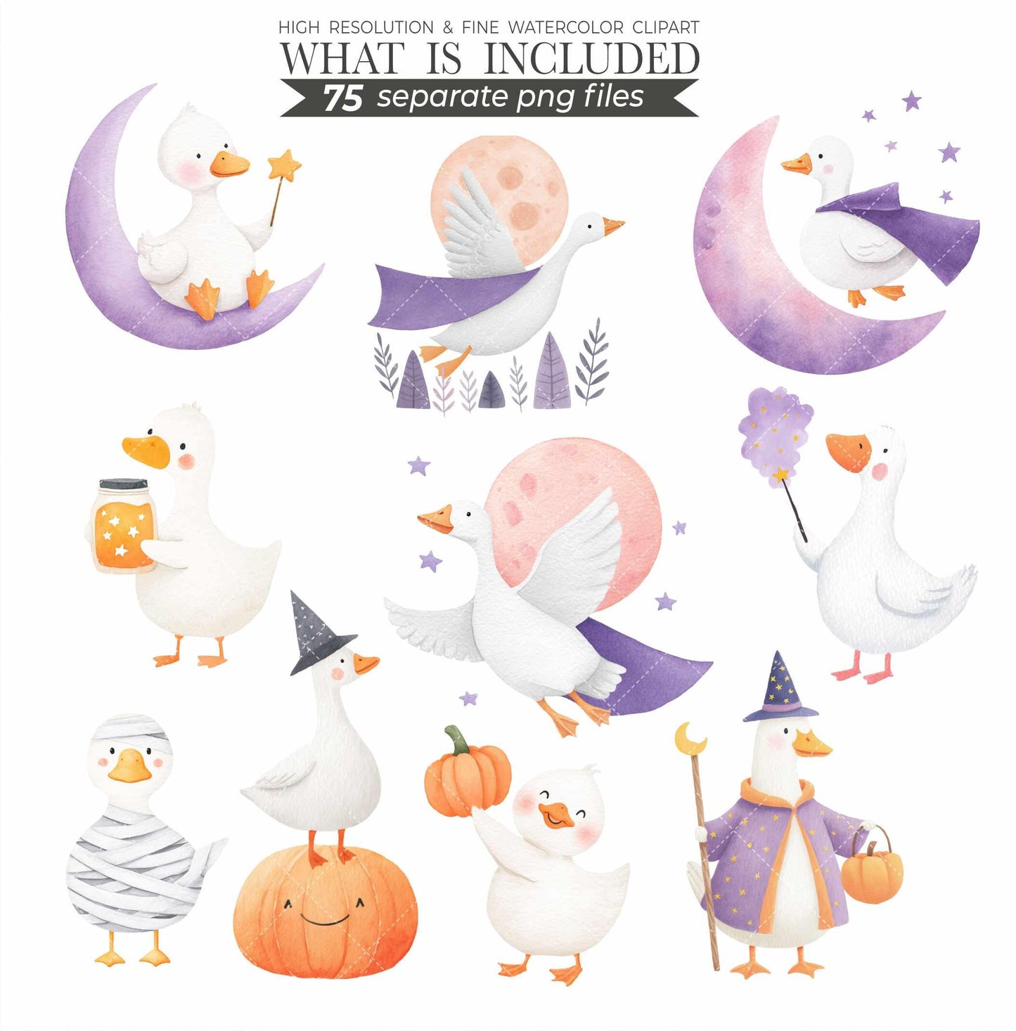 Witchy Goose Halloween Clipart Set: Pastel Costume Parade (PNG Files, Digital Download