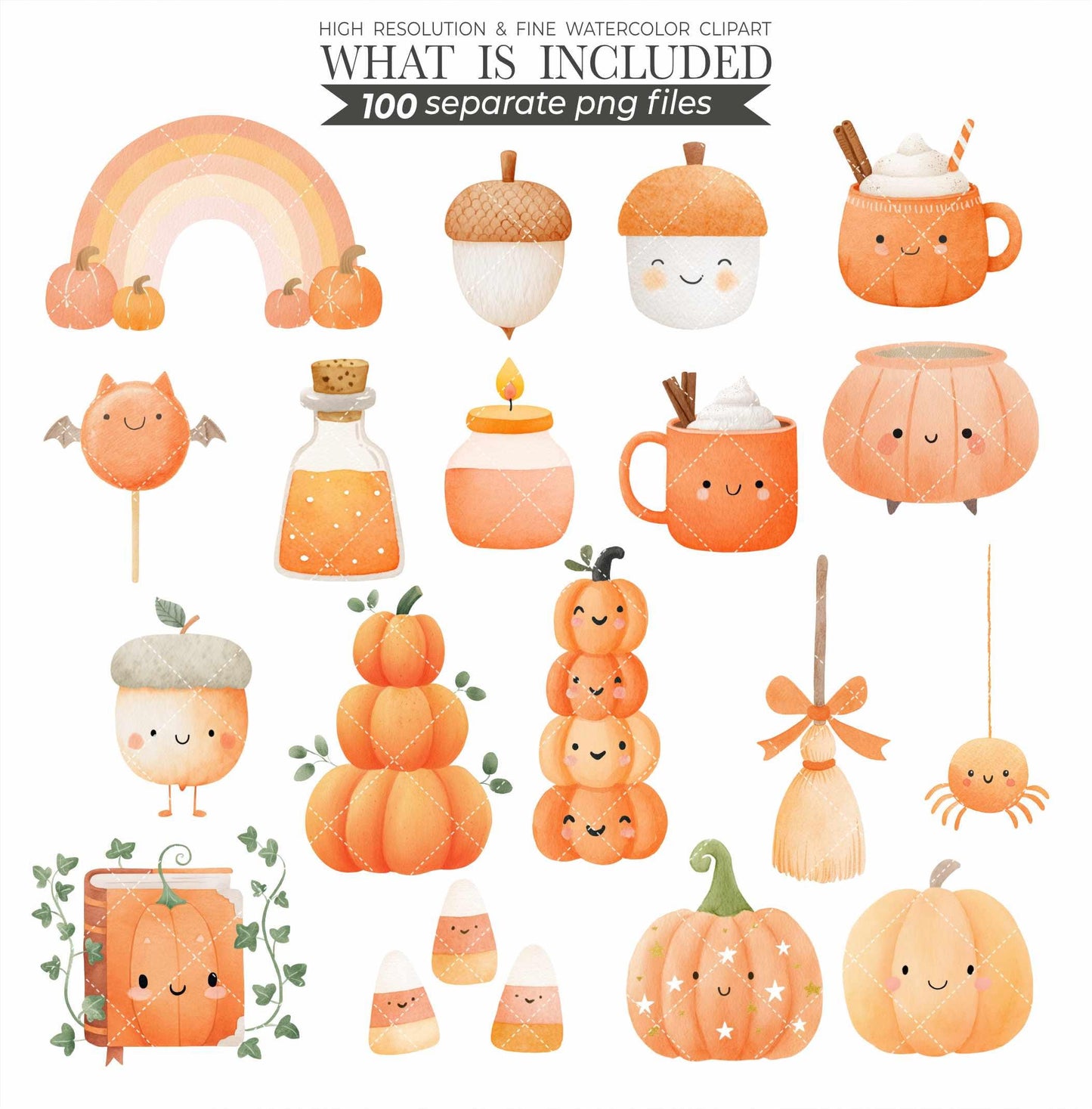 Watercolor Pumpkin Patch Animal Clipart: Fall Harvest PNG (Commercial Use, Digital Download)