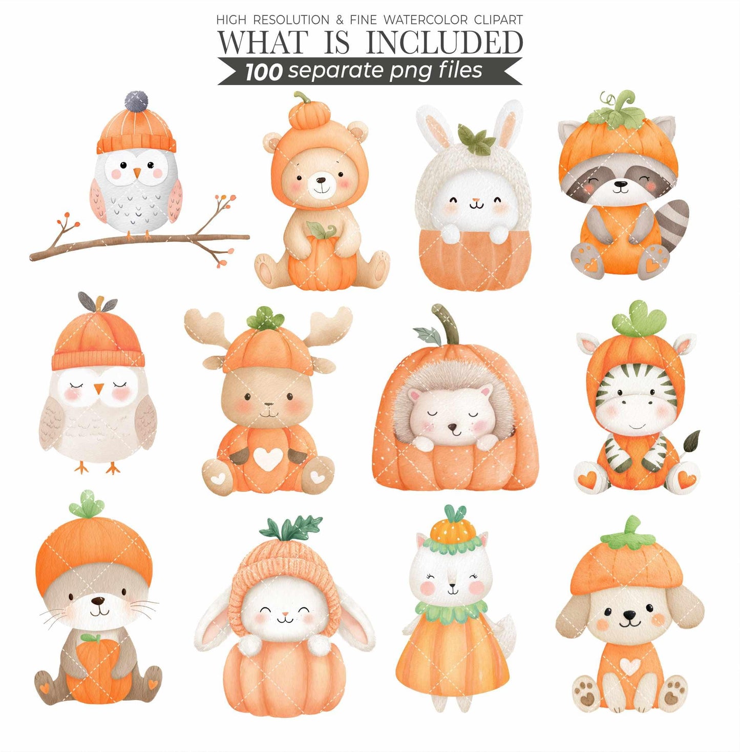 Watercolor Pumpkin Patch Animal Clipart: Fall Harvest PNG (Commercial Use, Digital Download)