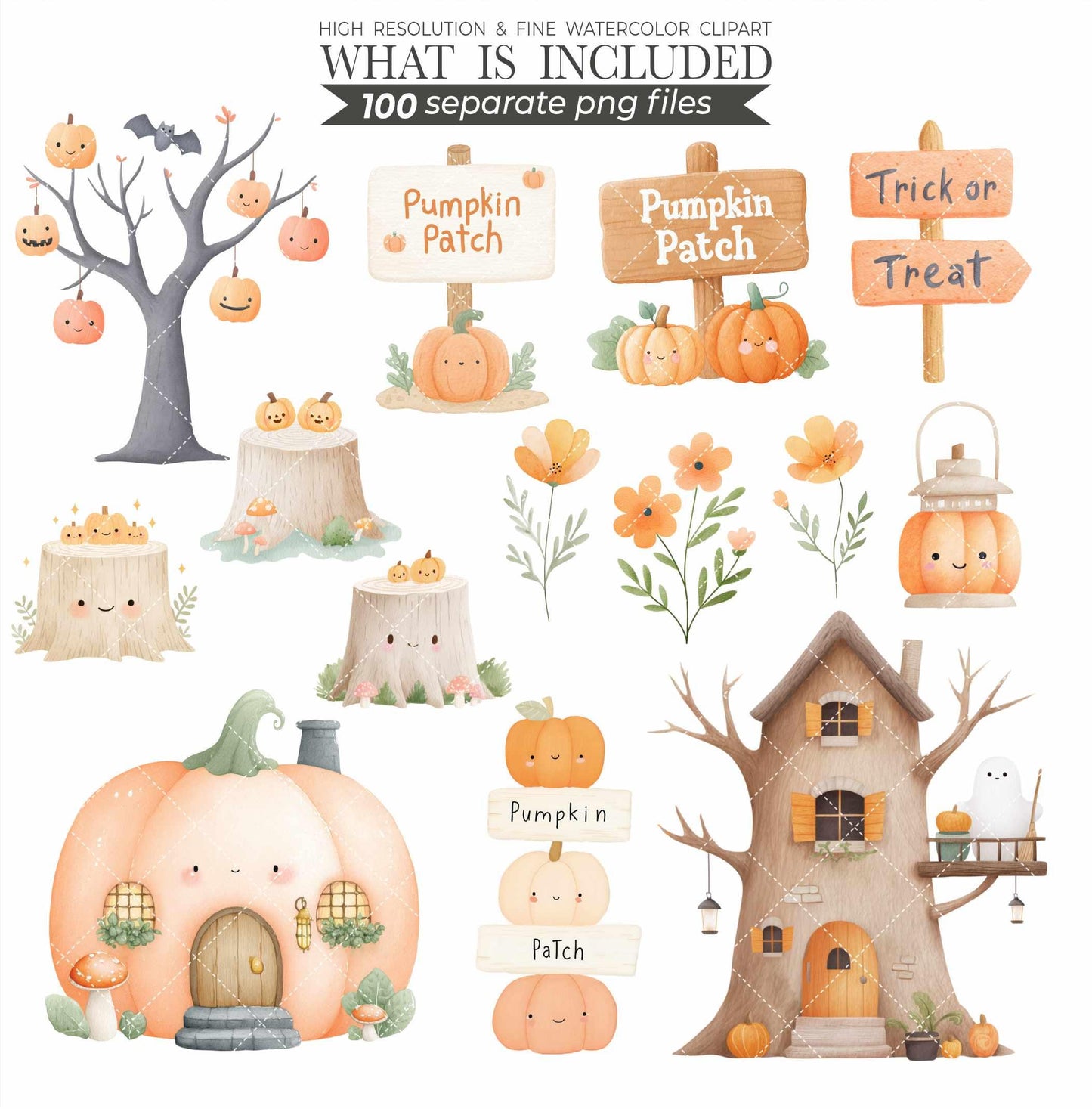 Watercolor Pumpkin Patch Animal Clipart: Fall Harvest PNG (Commercial Use, Digital Download)