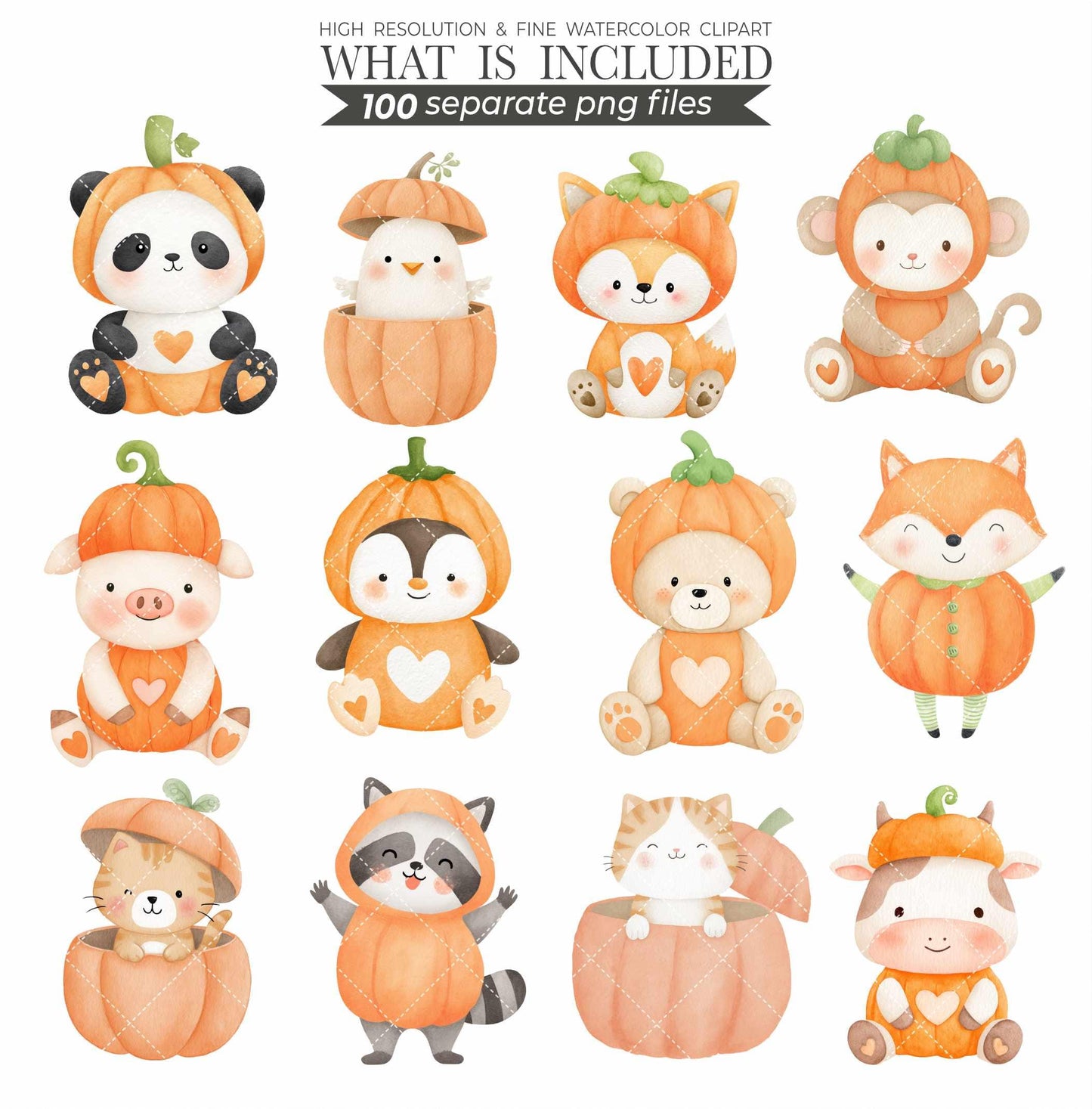 Watercolor Pumpkin Patch Animal Clipart: Fall Harvest PNG (Commercial Use, Digital Download)