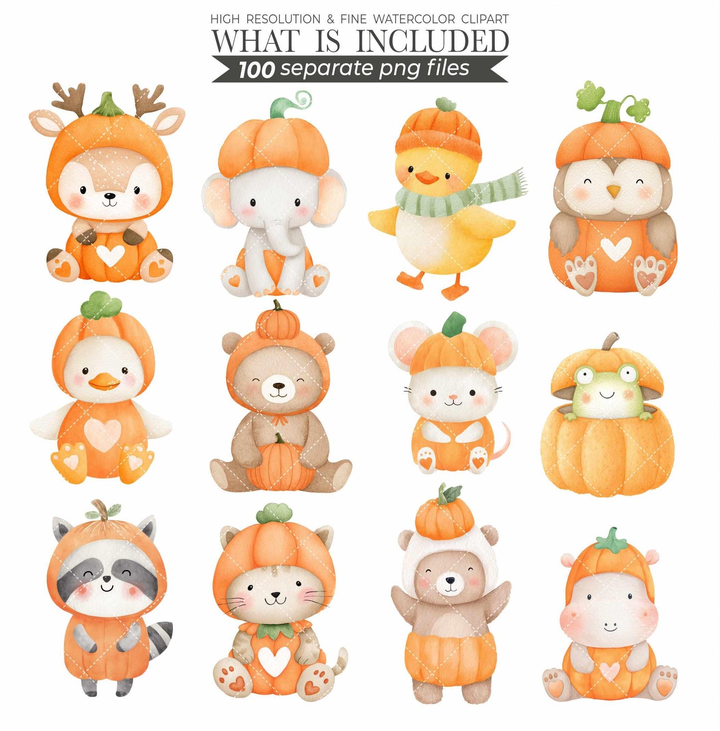 Watercolor Pumpkin Patch Animal Clipart: Fall Harvest PNG (Commercial Use, Digital Download)