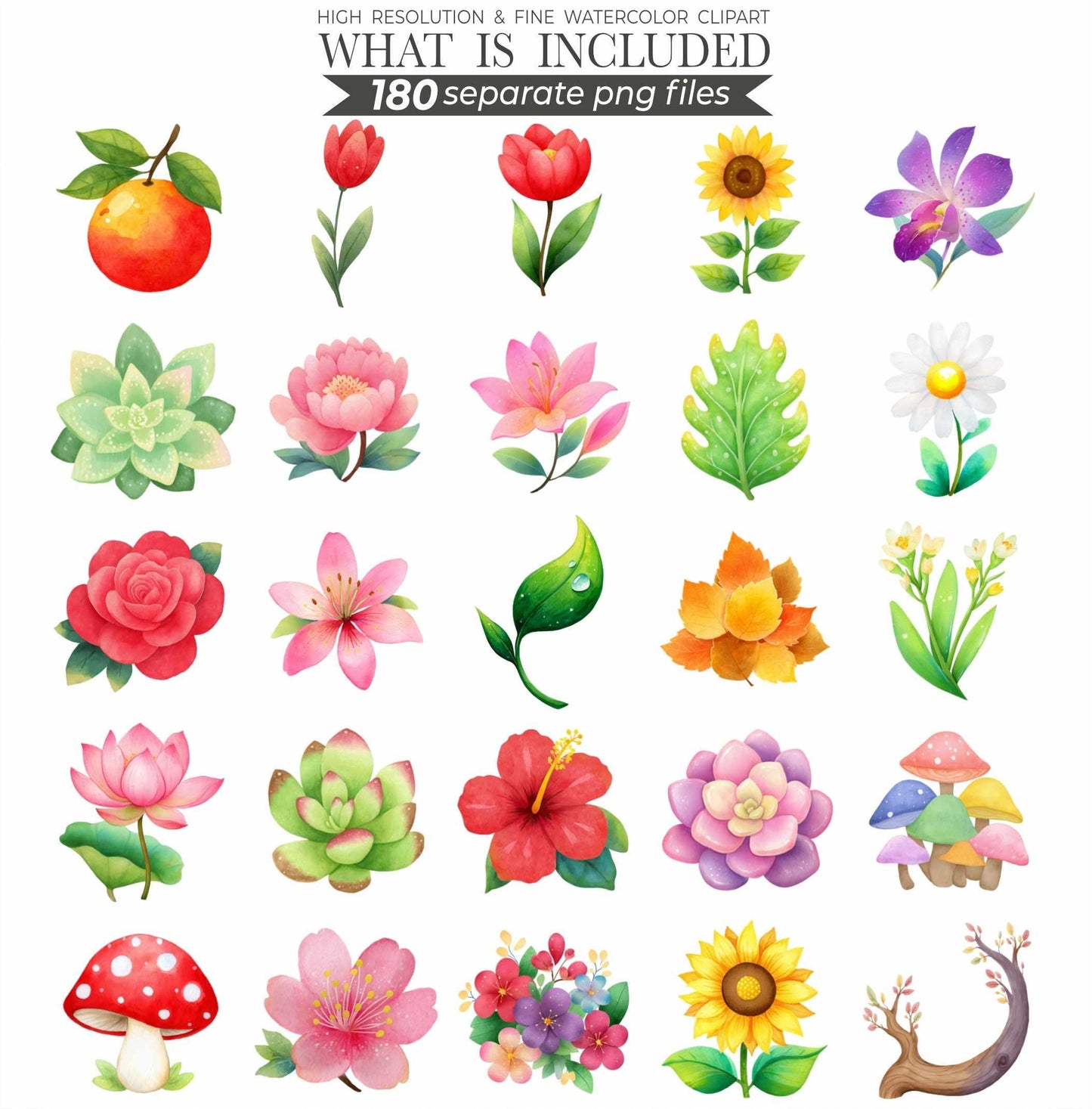 Cute Little Love Bugs Clipart, Insects Clipart, Spring Clip Art Bundle, Garden Creatures Clipart, Bee Watercolor Clipart, Bug Birthday Png