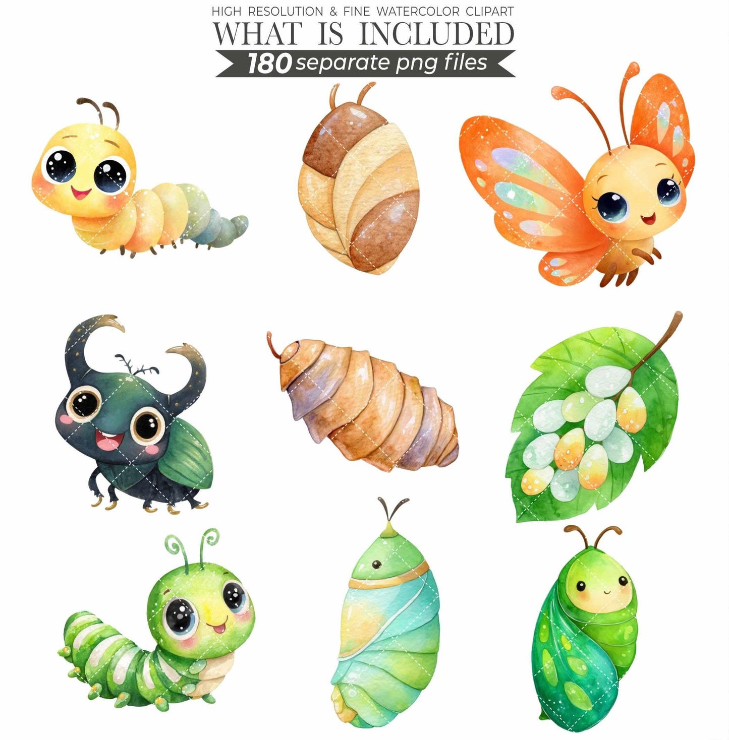 Cute Little Love Bugs Clipart, Insects Clipart, Spring Clip Art Bundle, Garden Creatures Clipart, Bee Watercolor Clipart, Bug Birthday Png