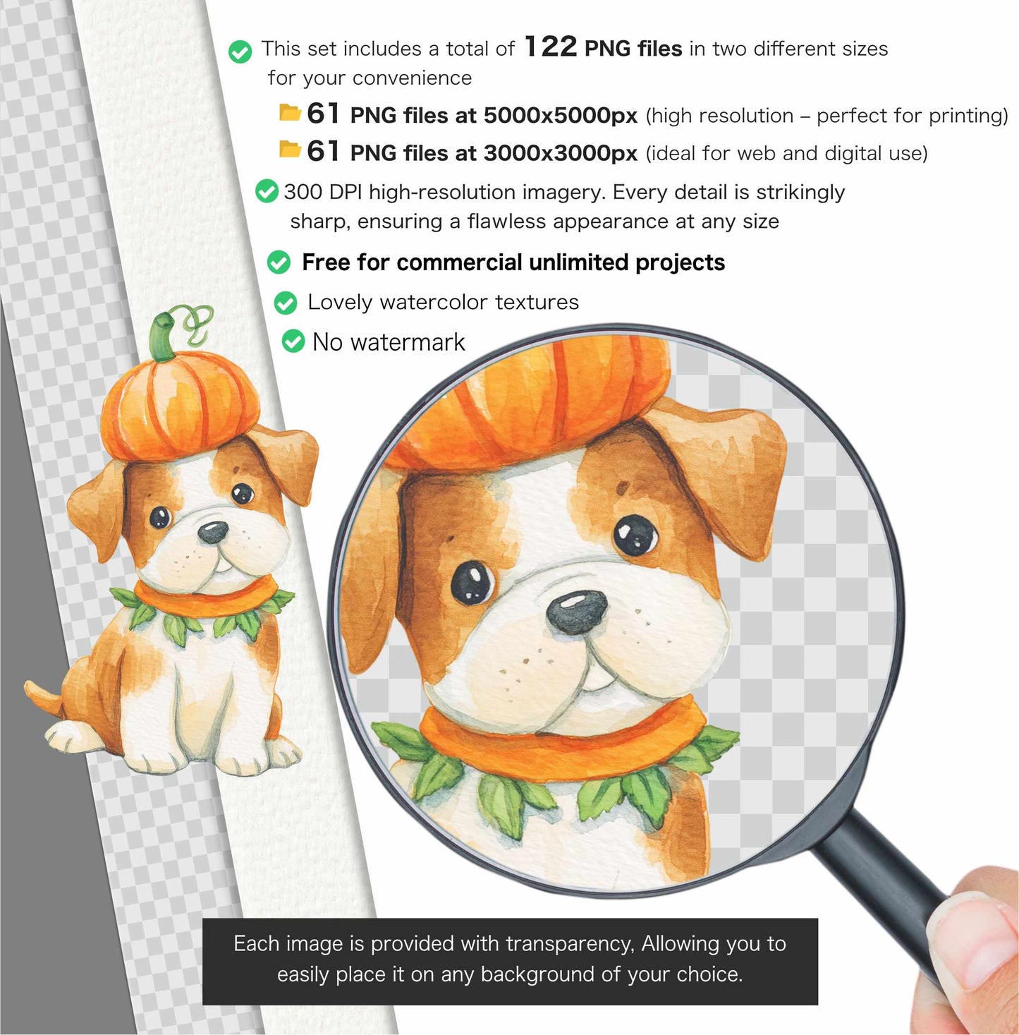 Halloween Animals Clipart, Cute Halloween png, Woodland Animal Clipart, Spooky clipart, Fall clipart, Animal Costumes, Commercial Use
